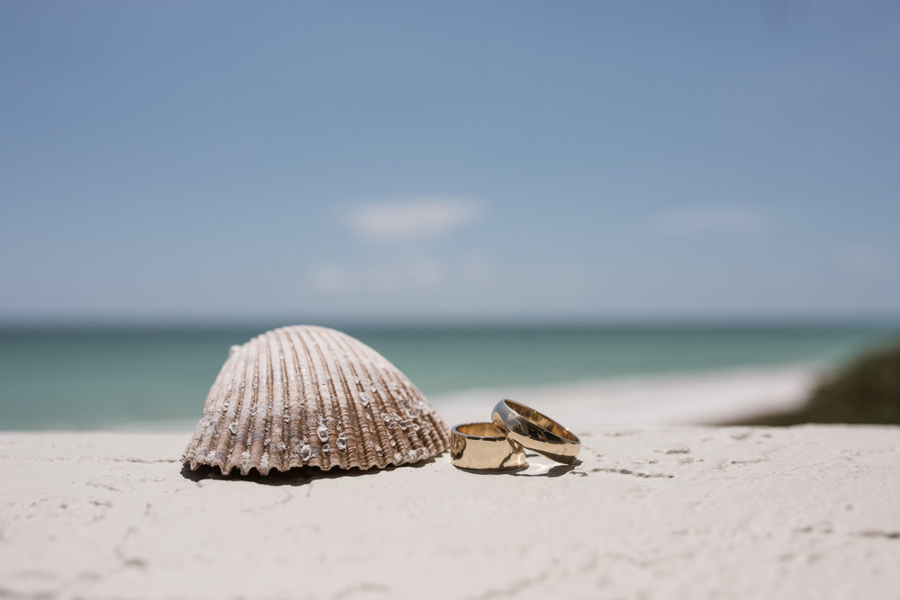 Wedding Bands and a seashell on the beach at a Sarasota Wedding at the Longboat Keyclub