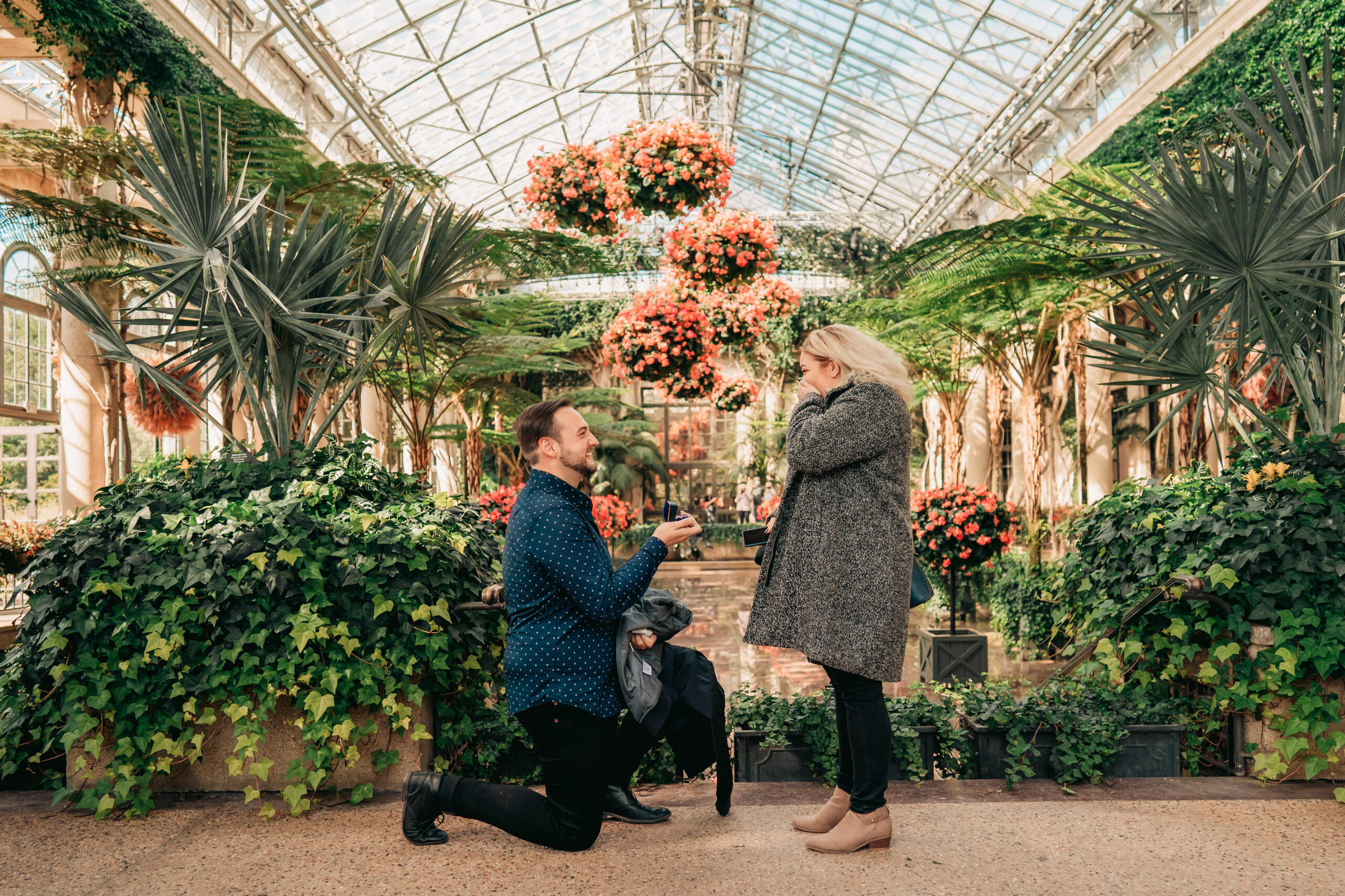 Longwood Gardens Proposal, Longwood Gardens Proposal Photographer, Longwood Gardens Pennsylvania, Engagement Photographer, Proposal Photographer, NJ Proposal Photographer, man kneeling on one knee as he smiles and holds up a ring box while his about to be fiancè covers her mouth in shock 